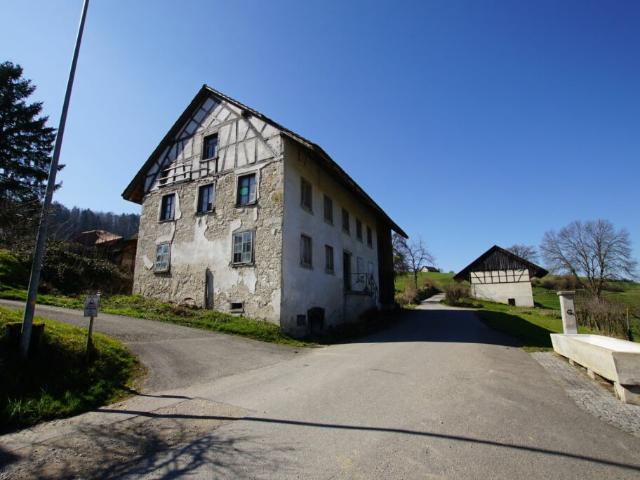 Immobilie kaufen in Wislikofen, Zurzach