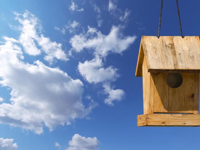 Wohnung kaufen in Chemnitz, Sachsen