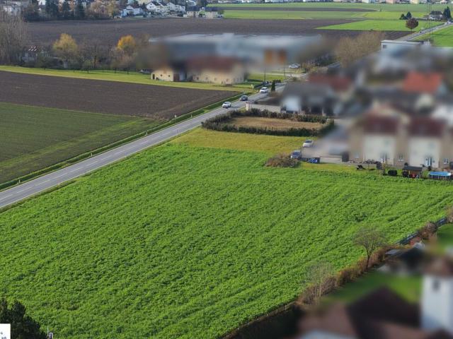 Grundstück kaufen in Wilhering, Oberösterreich