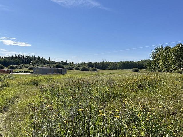 Land for sale in Wedgewood, Alberta