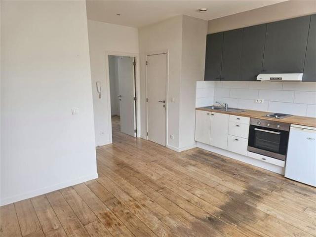 Kot location à Antwerpen