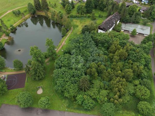 Erdgeschosswohnung kaufen in Herrischried, Baden-Württemberg