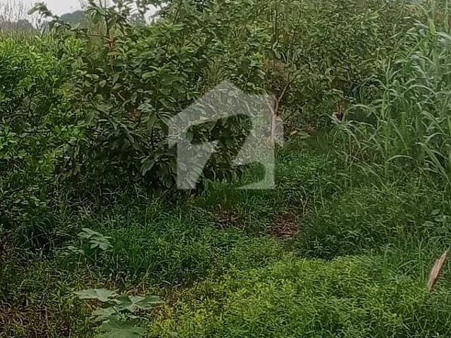 Property for sale in Rawalpindi, Islamabad Capital Territory