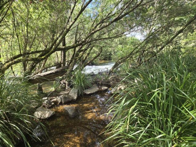 House for sale in Upper Taylors Arm, New South Wales