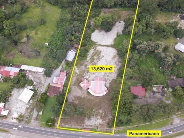 INVIERTE 1.36 HA con frente a la Panamericana. Bágala, entre David y Bugaba