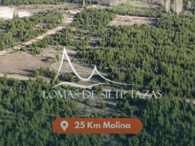 Terreno en venta en Molina, Maule
