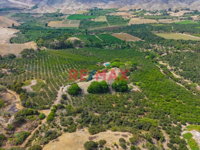 Terreno venta en Jecuán, Huaral