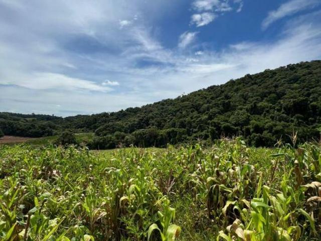 Terreno venda em Região Imediata de Sorocaba, Região Metropolitana de Sorocaba