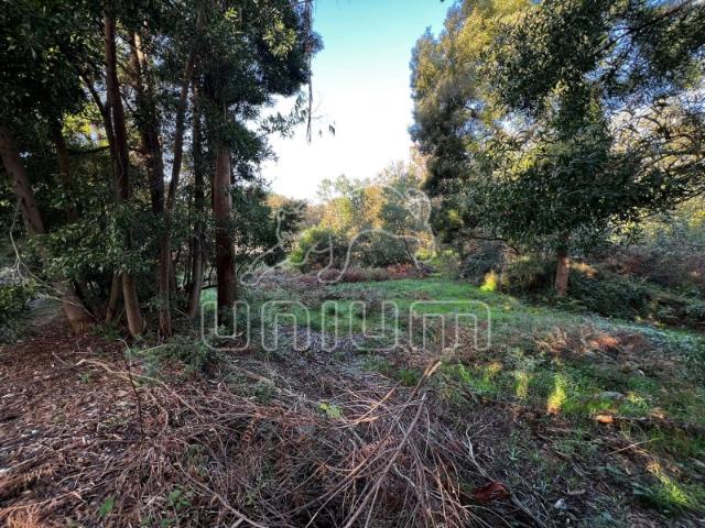 Terreno venda em Arga De Baixo, Viana Do Castelo
