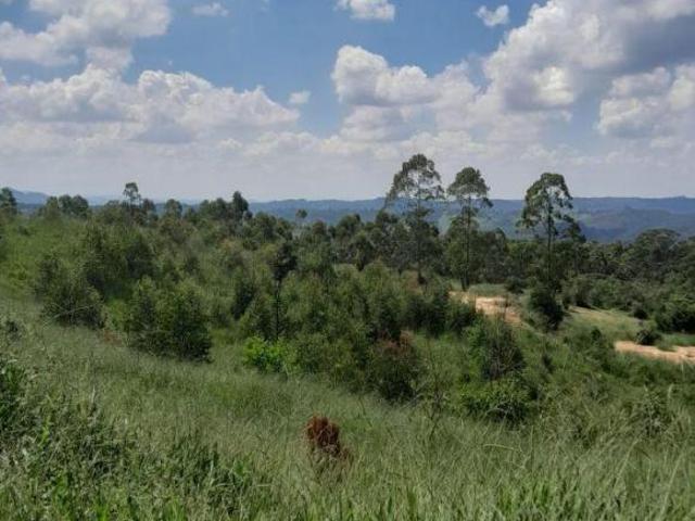 Sítio e chácara venda em Região Imediata de Sorocaba, Região Metropolitana de Sorocaba