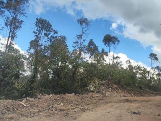 Terreno venda em Vila Bello, São Roque