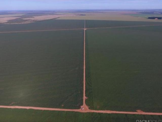 Sítio e chácara venda em Região Geográfica Imediata de Barra do Garças, Novo São Joaquim