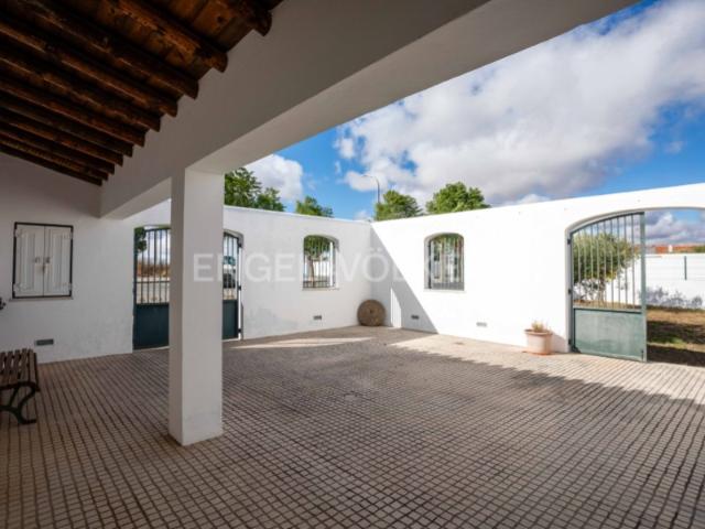 Loja venda em Entradas, Castro Verde