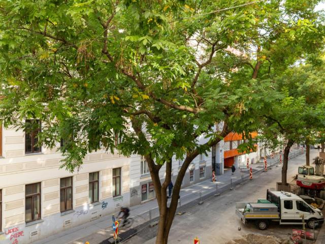 Apartment mieten in Wien