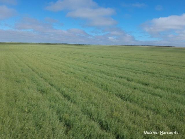 Property for sale in Binnu, Western Australia