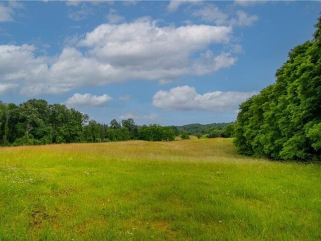 Land for sale in Ionia