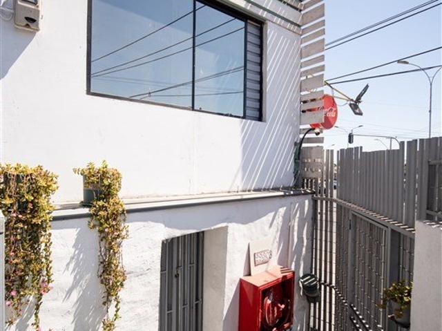 Iquique, tadeo haenke