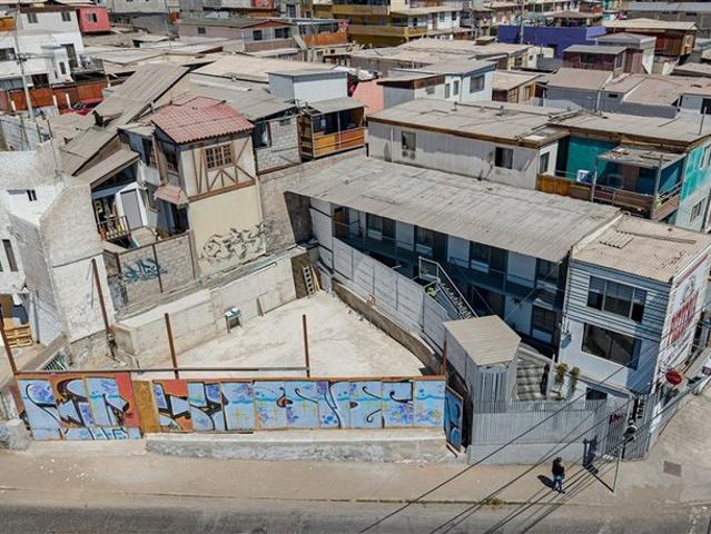 Iquique, tadeo haenke