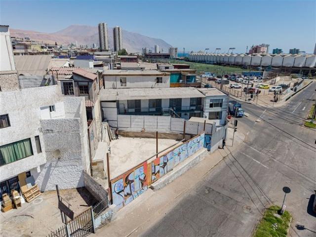 Iquique, tadeo haenke