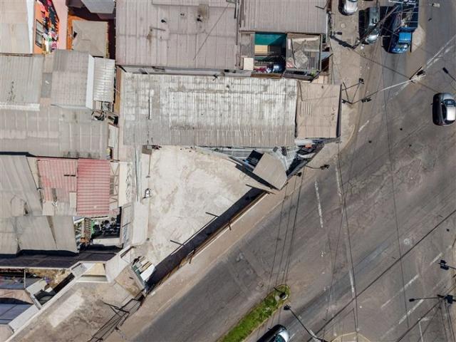 Iquique, tadeo haenke