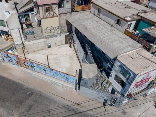 Iquique, tadeo haenke