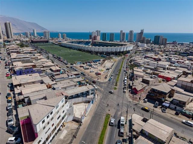 Iquique, tadeo haenke