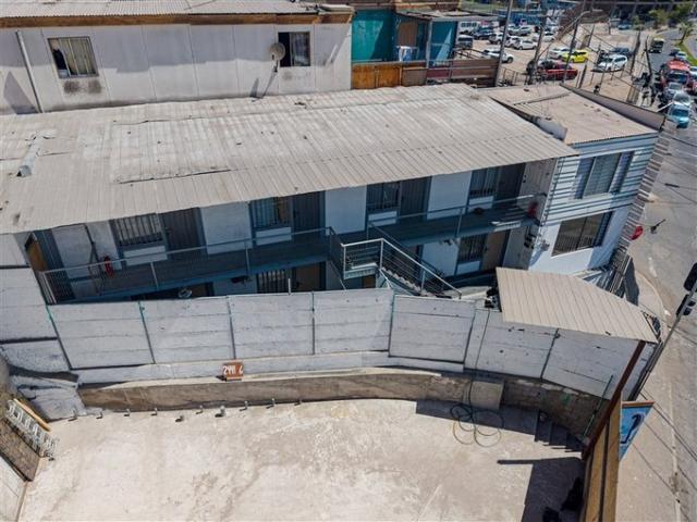 Iquique, tadeo haenke