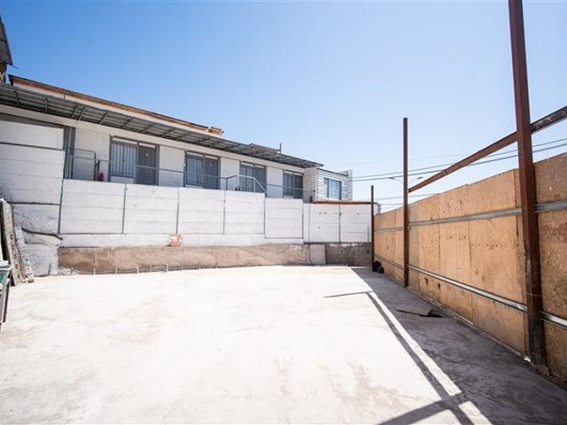 Iquique, tadeo haenke