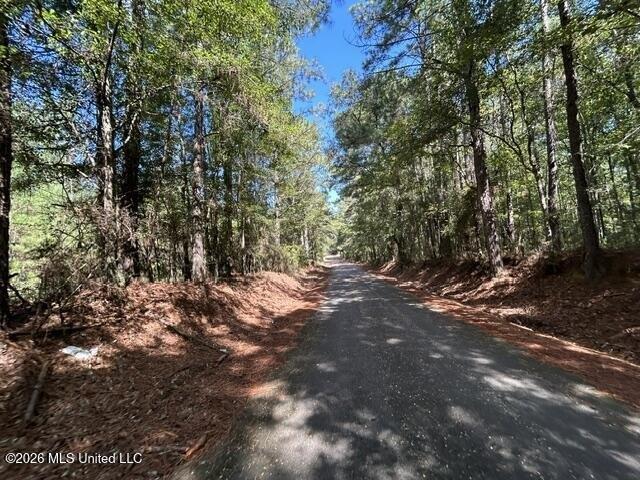 Land for sale in Summit, Pike County