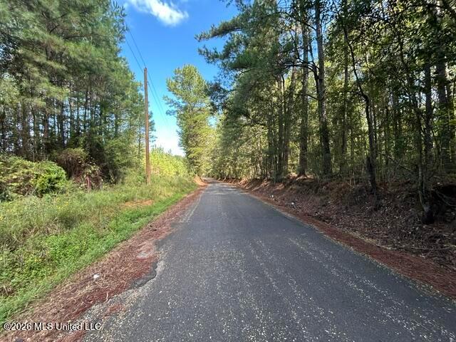 Land for sale in Summit, Amite County