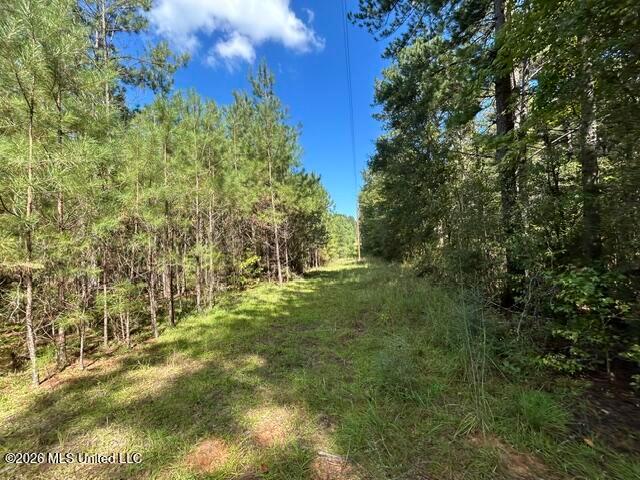 Land for sale in Summit, Amite County