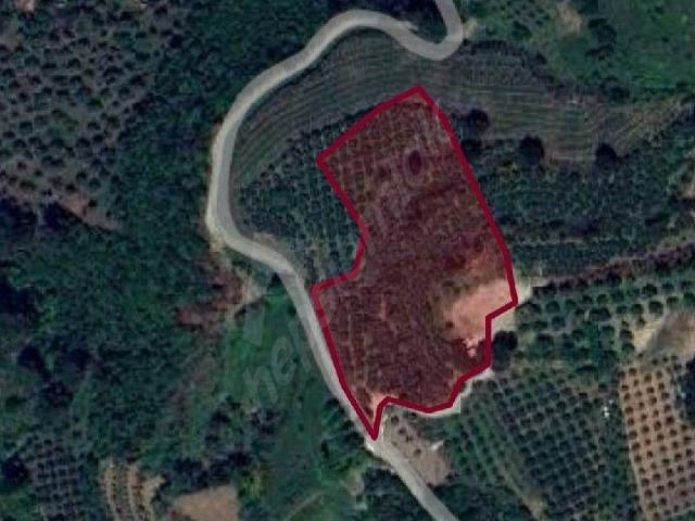 Selçuk, İzmir içerisinde satılık Arsa