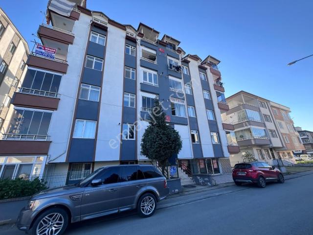 Ordu içerisinde kiralık mülk