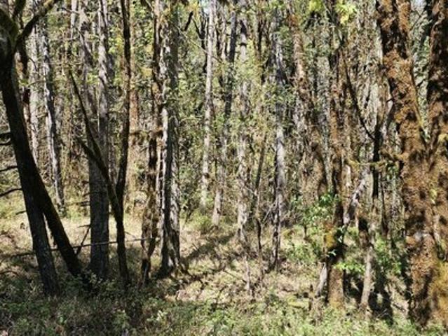 Land for sale in Oregonia