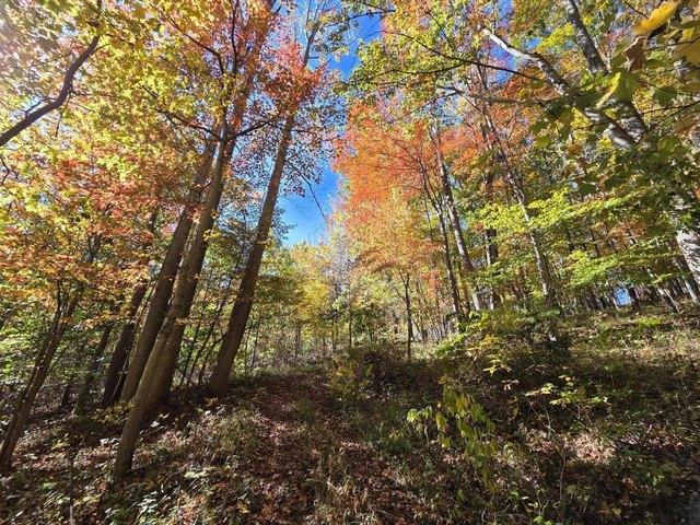 Land for sale in Peterstown, West Virginia