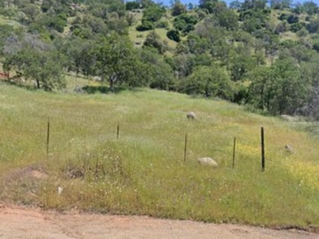 Land for sale in Squaw Valley, California