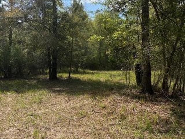 Land for sale in Marianna, Florida