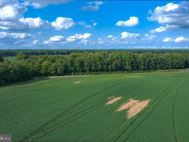 Land for sale in Federalsburg, Maryland
