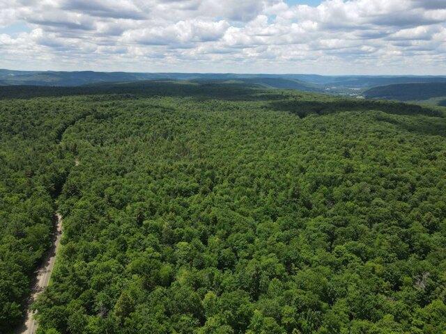 Land for sale in Maryland, New York