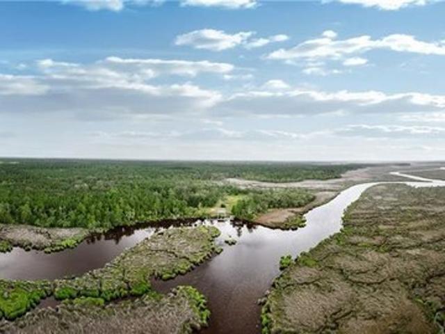 Land for sale in Glynn, Georgia