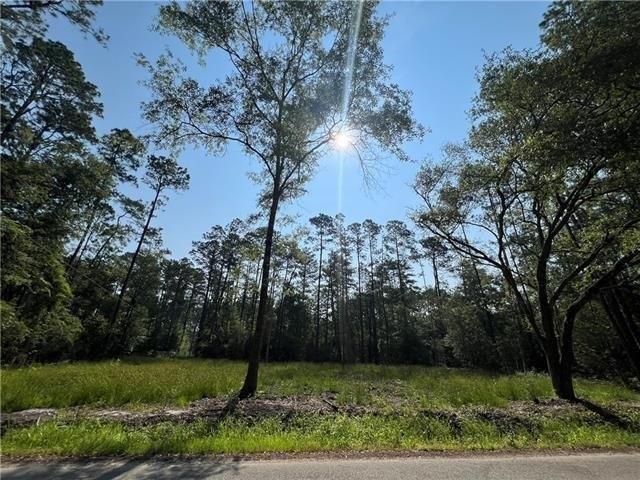 Land for sale in Abita Springs, Louisiana