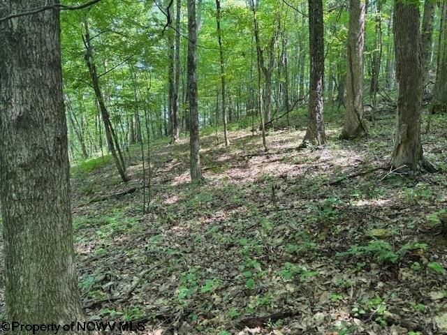 Land for sale in West Virginia