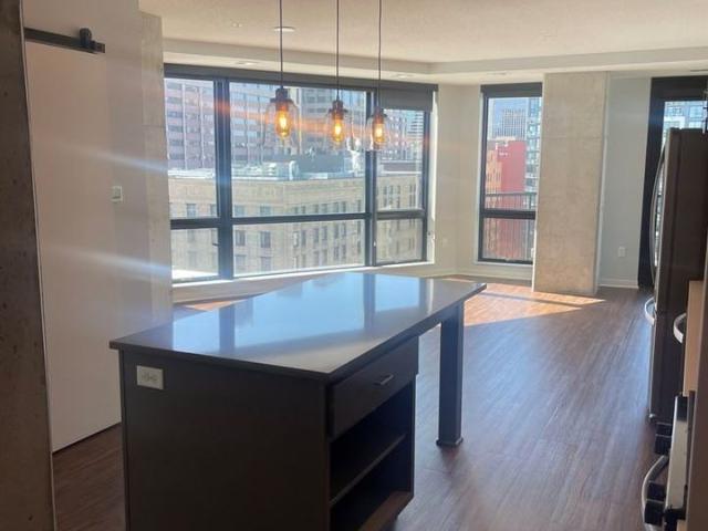 Apartment for rent in Hennepin, Minnesota