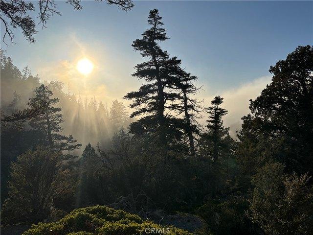 Land for sale in Angelus Oaks, California