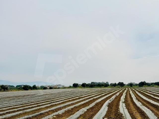 Bayindir, İzmir içerisinde satılık Arsa