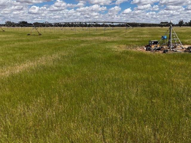 Cottage for sale in Forbes Shire Council, New South Wales