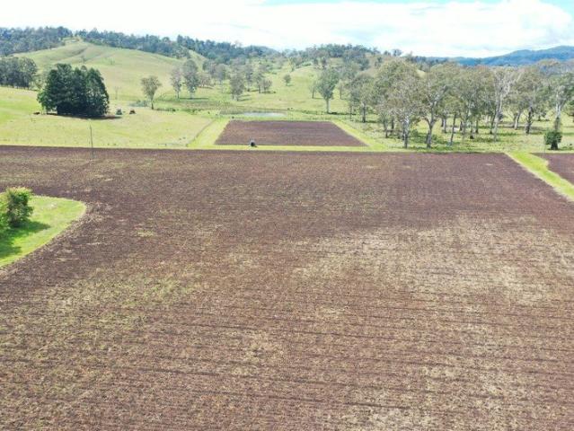 Cottage for sale in Kyogle, Kyogle Council