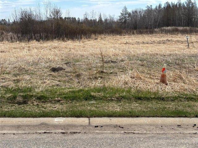 Land for sale in Beltrami, Minnesota