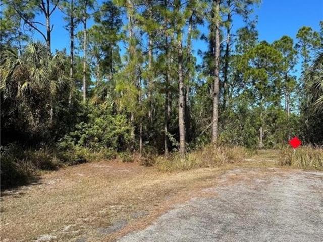 Land for sale in Alva, Lehigh Acres Land for sale in Alva, Lehigh Acres