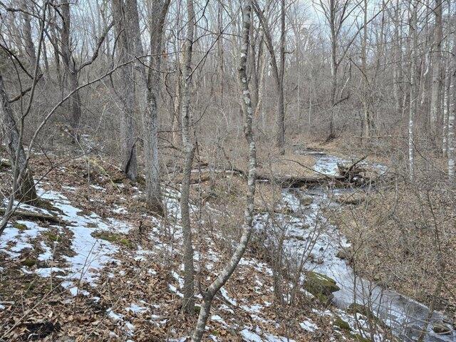 Land for sale in Thaxton